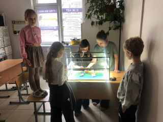 photo_2025-06-24_19-30-44